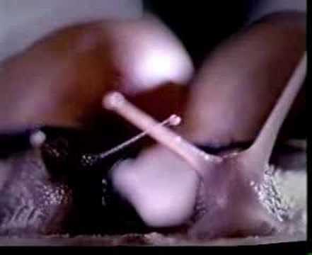 YouTube voorvertoningsafbeelding