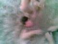 videos de irene&playa