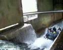 Phantasialand 2008