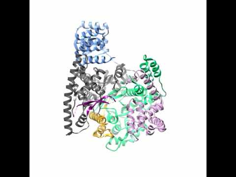 Structure of human mitochondrial RNA polymerase elongation complex