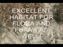 COASTAL ZONE MGMT .wmv