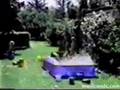 video de risa caidas, golpes , liadas , mtidas de pata