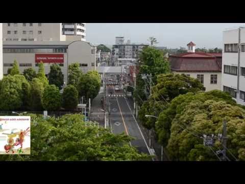 動画