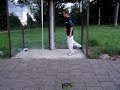 Reversed - Meetz The King