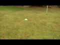 MOV01f.wmv
