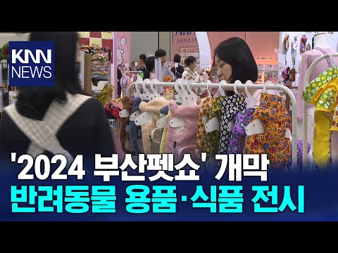 반려동물 산업 한자리에<br>'2024 부산펫쇼' 개막