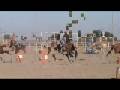 videos de Playtone 004