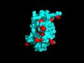 hgh-rotating.html