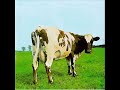 The Pink Floyd Sound - Atom Heart Mother