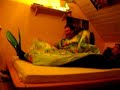 banda-di-staffolo-le-notti-di-weingarten.html