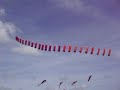25 Flexifoil Stackers At Brighton Kite Festival