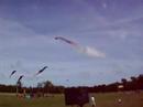 25 Flexifoil Stackers At Brighton Kite Festival