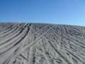 Sand Mountain: Peak to Parking lot. Sunday, April 19, 20
