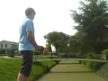 de vis