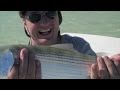 Bonefish Heaven