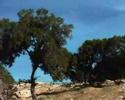 Kefallonia Ionian Island West Greece