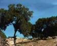 Kefallonia Ionian Island West Greece
