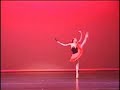Hot Summer Aronoff \"Don Quixote\" Hot Summer Aronoff \"Don Quixote\"