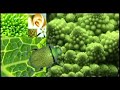 voladura-en-el-alto.html