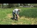XP Goldmaxx Power Metal Detector from Regton, Norfolk Wolf