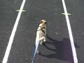running running