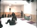 This is Ninjutsu, with resisting opponents, NO LARPING