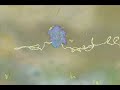 RNA - The Discovery of Ribozymes (2-2)