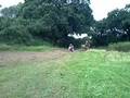 Wes's First Pitbike Day Out