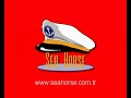 SeaHorse Car Care Products & Lubricants