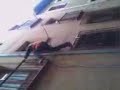 Pexu trepador Pexu trepador