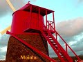 Ilha do Pico A�ores