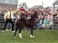 HORSE AND PONY AUCTION IN HAY ON WYE, WALES