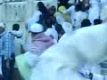 محاولة انتحار بالحرم     2008    1429    (دوحي)