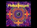 Artist: Hallucinogen Track: Shamanix Album: Twisted Release Date: 1995 Country: England Goa Trance is the real deal. It is my favorite sub-genre of Trance. Enough said, enough done. Hallucinogen are huge legends in the Goa Trance scene. They've got one of the best selling Goa Trance albums of all time, Twisted. Simon Posford (now part of Shpongle), and i've got a video of them on my channel, makes very interesting music with Raja Ram and is a genius in some peoples eyes. I see him as a genius. He explored grounds that Goa hadn't explored before :) Goa Trance is essentially 