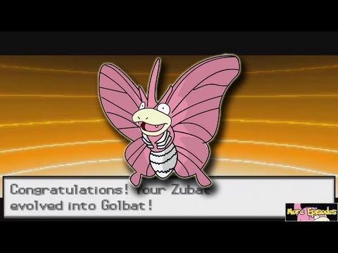 pokemon black pokemon black