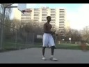 ant king vs gt (2007)