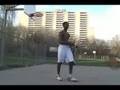 videos de ant king vs gt (2007)