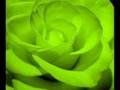 Neil Young - Love Is A Rose