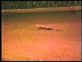 80s flashback rollover