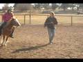 videos de Seatwork on the Lunge