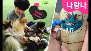 나랑나 | 개천국??! 바둑이네동물원, 개화예술공원! | 보령 아이들과 가볼만한 곳!