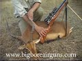 airgun hunting South Africa