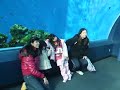 joao e ro yokohama sea paradise