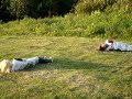 rolling down great hill