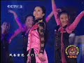 Liu Yi Fei - Style