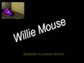 Willie Mouse - Lorenzo Buttitta