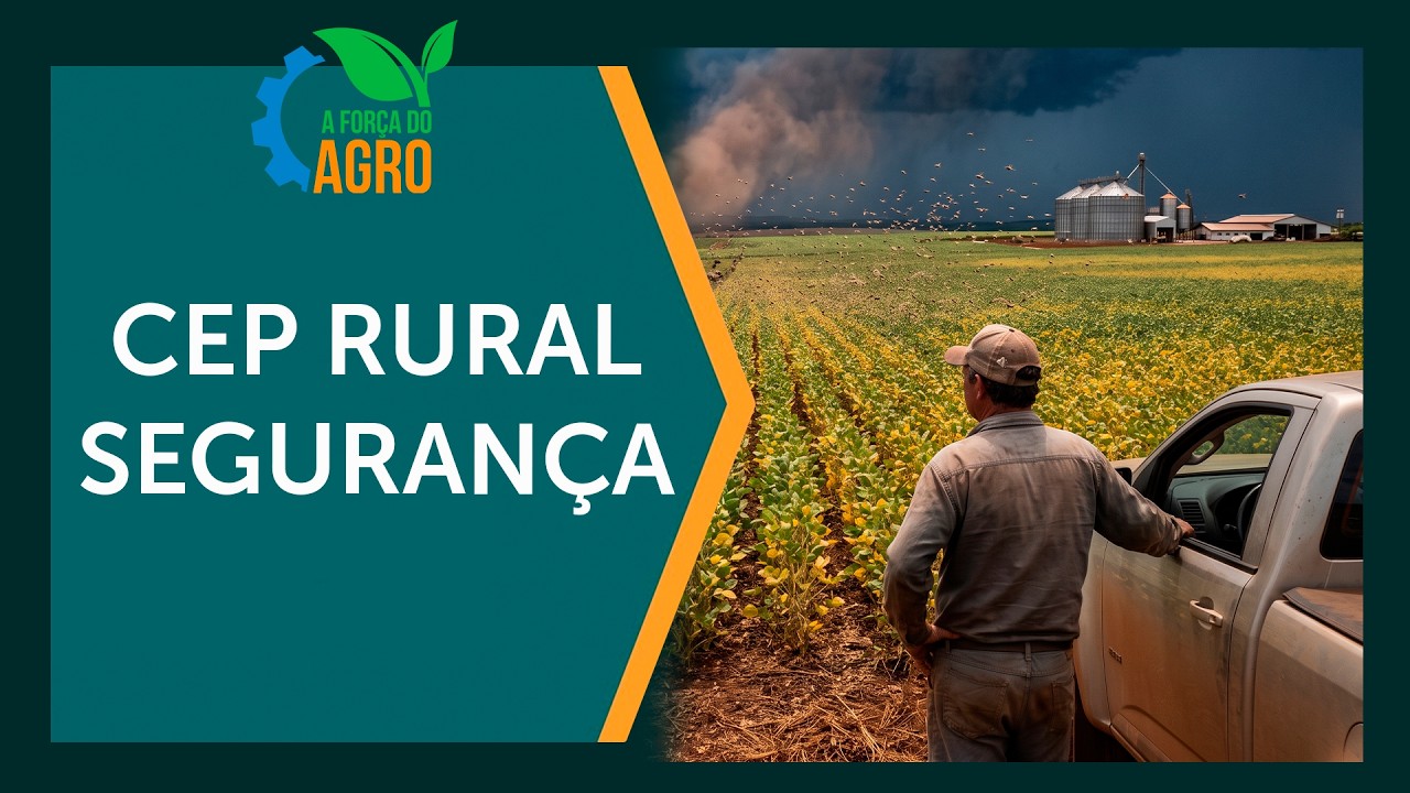Desvende o CEP rural: a nova segurança do agro. A Força do Agro, com Joice Maffezzolli