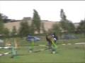 Ben and Beegee 25.08.08 (Hopton Show Jumping)