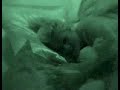Will & Janie in Bed Talking about Pregame Alliances