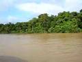 Río Amazonas